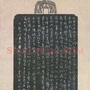 严敏灵 硬笔行书作品《微博文四则》图片欣赏