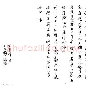 金泽珊 硬笔行草作品《苏轼琴诗序》图片欣赏