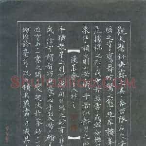 唐国生 硬笔楷书作品《书谱节选》图片欣赏