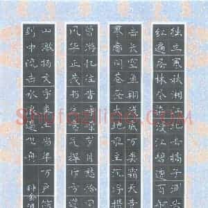 钟金波 硬笔楷书作品《毛泽东词沁园春长沙》图片欣赏