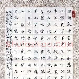 唐国生 硬笔楷书作品《自撰文》图片欣赏