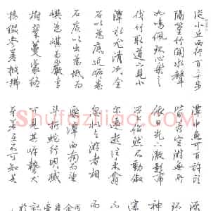 曲庆伟 硬笔行书作品《柳宗元文小石潭记》图片欣赏