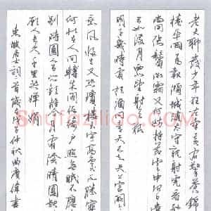 曲庆伟 硬笔行书作品《苏轼词二首》图片欣赏