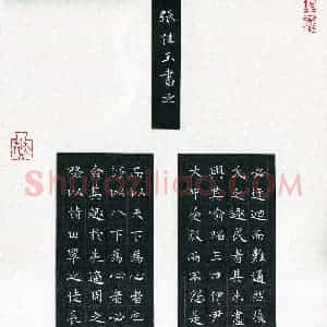张佳玉(少儿组 13岁)硬笔书法大赛 入围作品选登图片欣赏