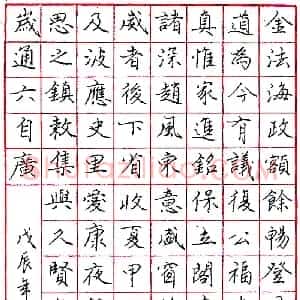 陈天乐钢笔录《金法海政》 硬笔作品图片欣赏下载