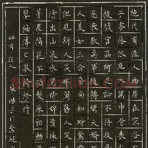 陈鸿硬笔录杜甫佳人  硬笔作品图片欣赏下载