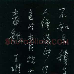 李宗洪 硬笔行书作品《王维诗一首》图片欣赏