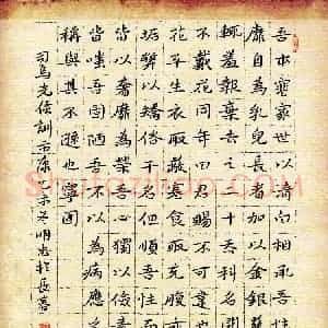 蔡明忠(成人组 优秀奖)硬笔书法大赛 获奖作品图片欣赏