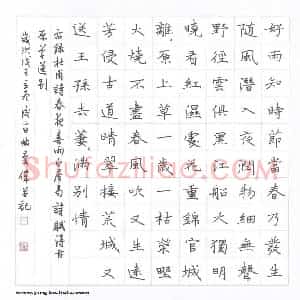 曲庆伟 硬笔楷书作品《唐诗二首》图片欣赏