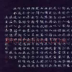 洪金龙 硬笔楷书作品《苏洵张益州画像记》图片欣赏