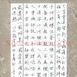 钟泽伦 硬笔楷书作品《毛泽东词二首》图片欣赏