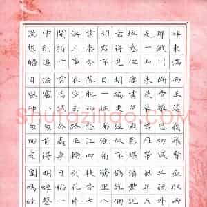 洪金龙 硬笔楷书作品《宋词二首》图片欣赏