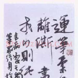楼吾林 硬笔行书作品《书论》图片欣赏