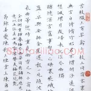陈勇军硬笔楷书姜夔词疏影节录  硬笔作品图片欣赏下载
