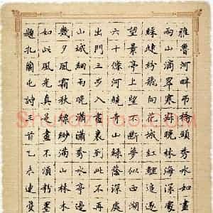 杨连双(成人组 优秀奖)硬笔书法大赛 获奖作品图片欣赏