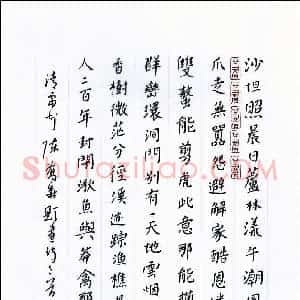 李树和 硬笔楷书作品《陈乔森题画诗二首》图片欣赏