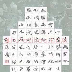 欧阳荷庚 硬笔楷书作品《苏东坡词定风波》图片欣赏